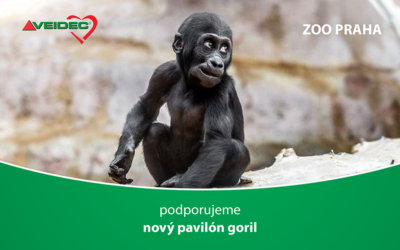 ZOO PRAHA – Nový pavilon goril